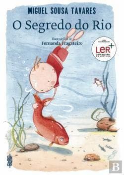 Book O Segredo do Rio