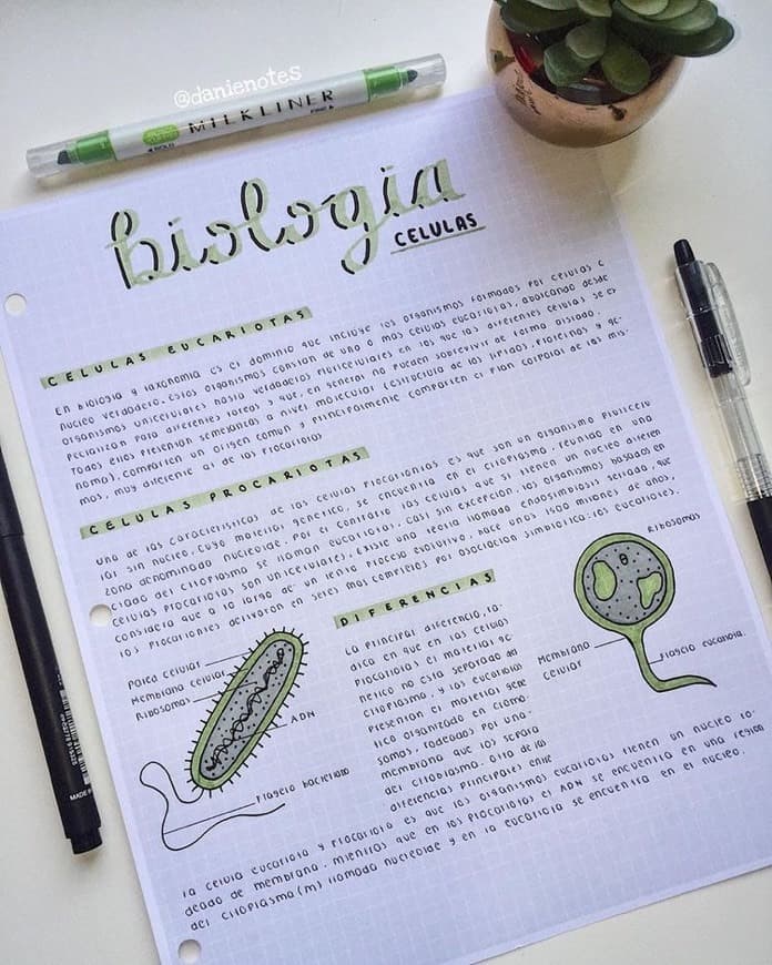 Moda Exemplo biologia 🧪 