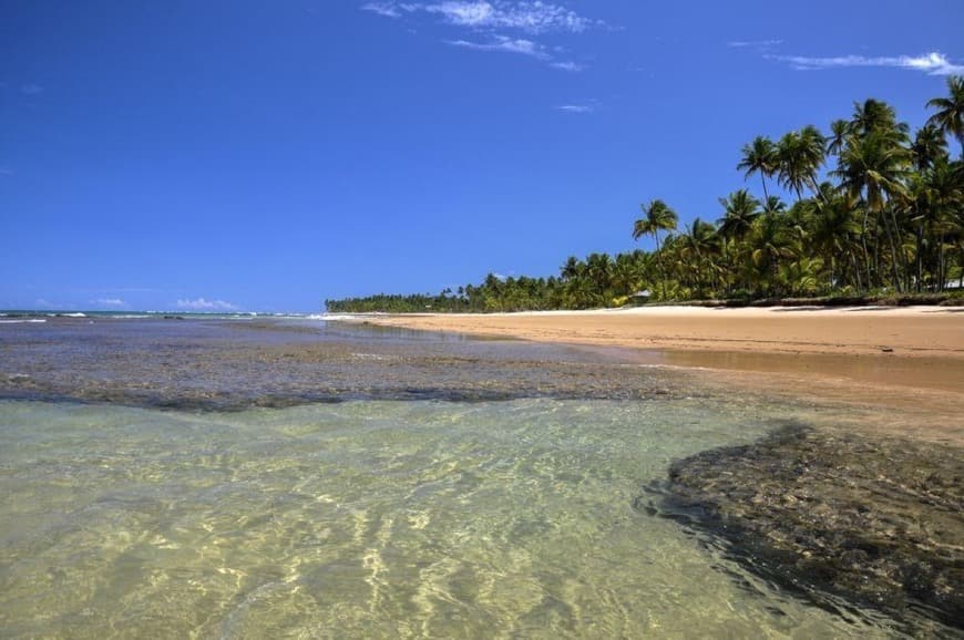 Lugar Taipu de Fora - Barra Grande