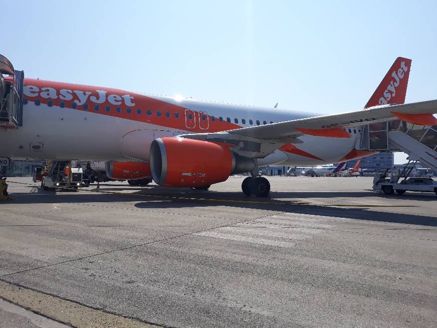 Moda Voos easyJet aos melhores preços - Jetcost