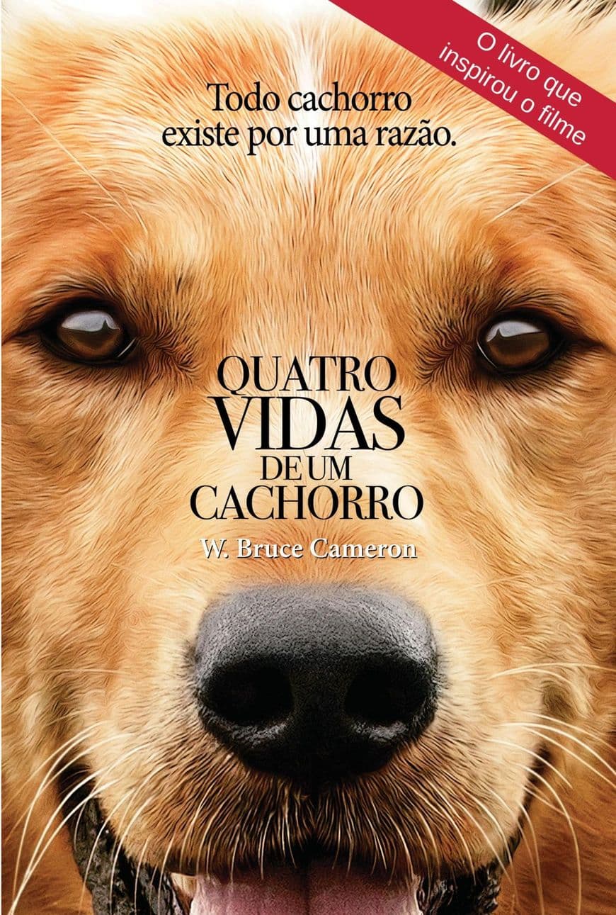 Película Quatro Vidas de um Cachorro 