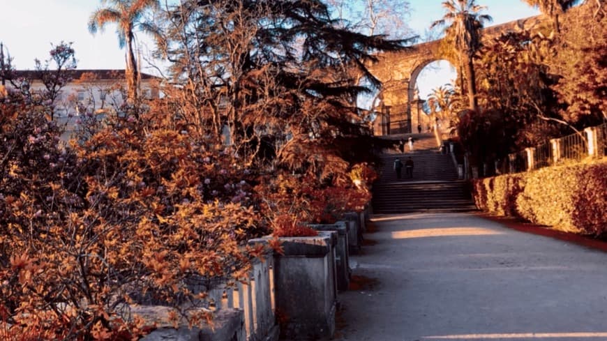 Lugar Jardim Botânico da Universidade de Coimbra