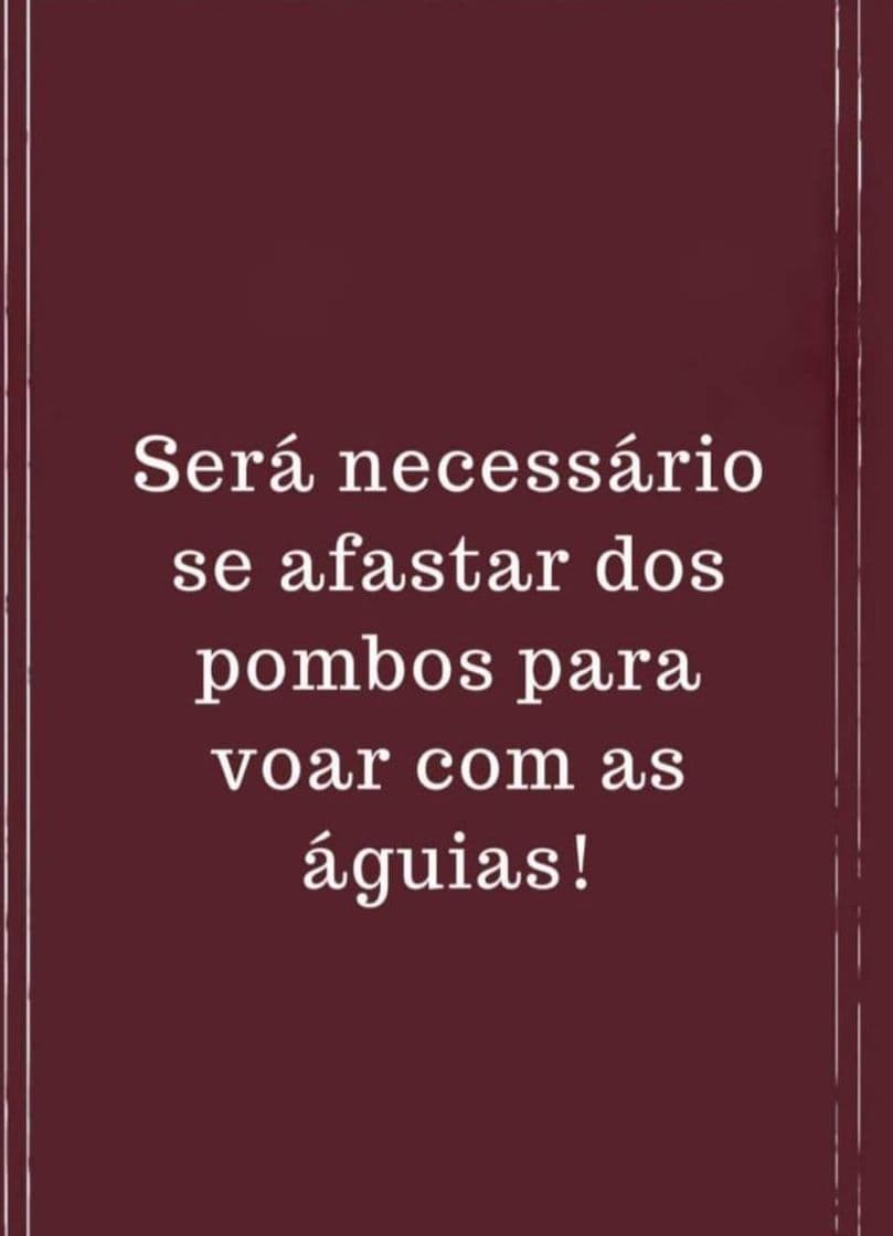 Fashion Frases para alegrar seu dia!!!