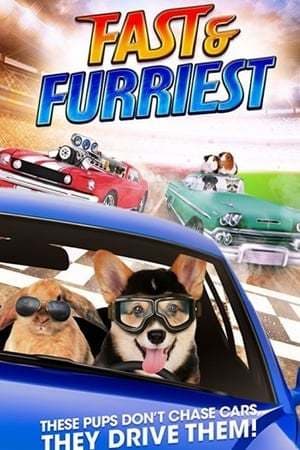 Movie Fast and Furriest