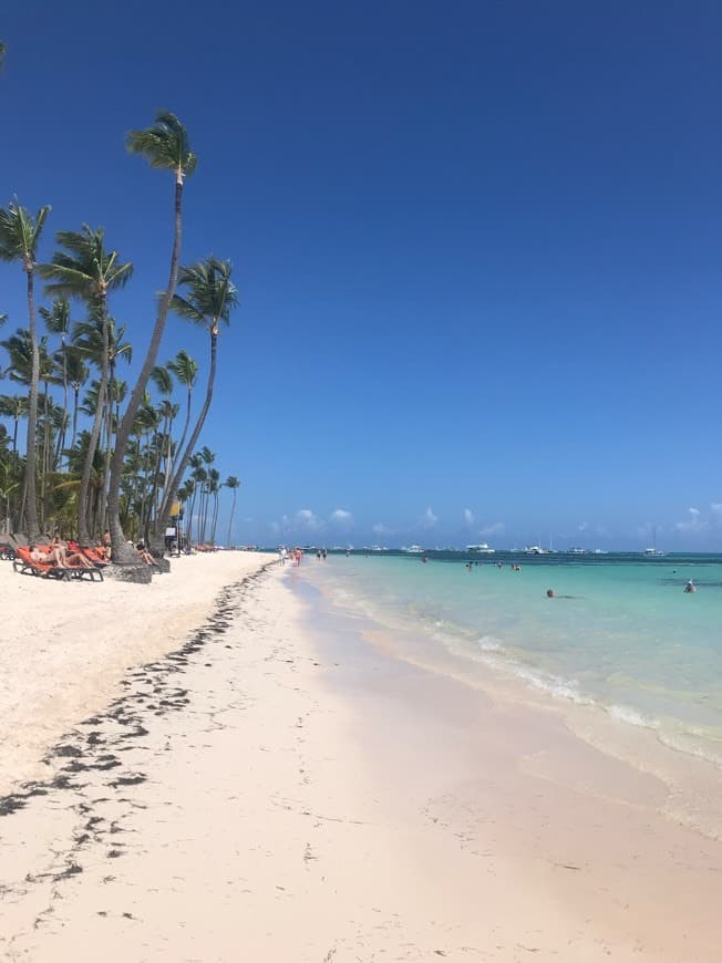 Place Punta Cana