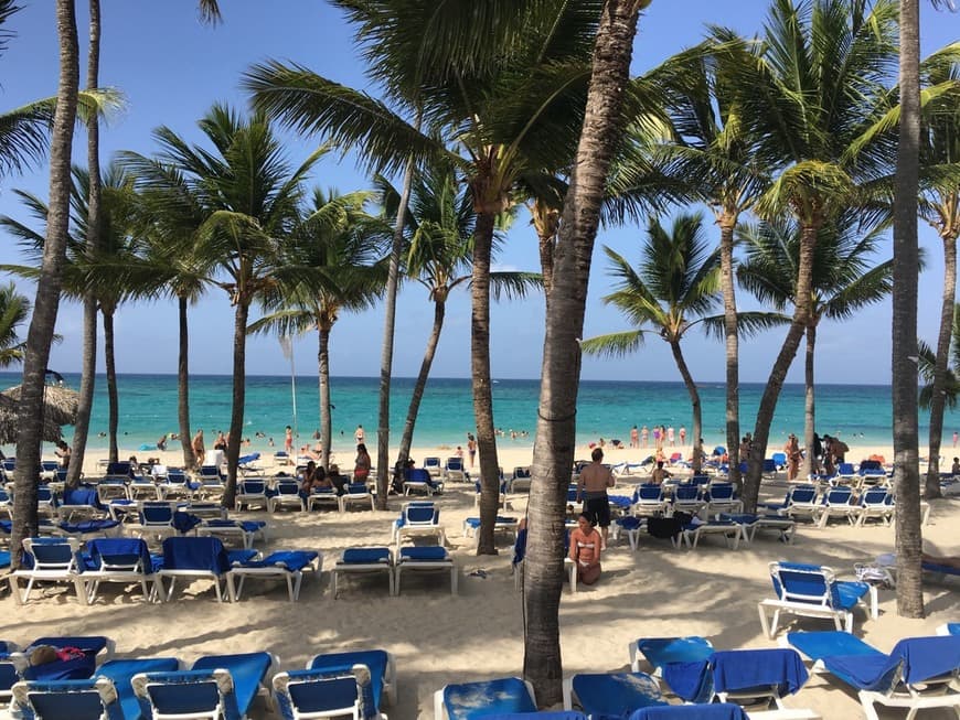 Lugar Grand Bahia Principe Bavaro