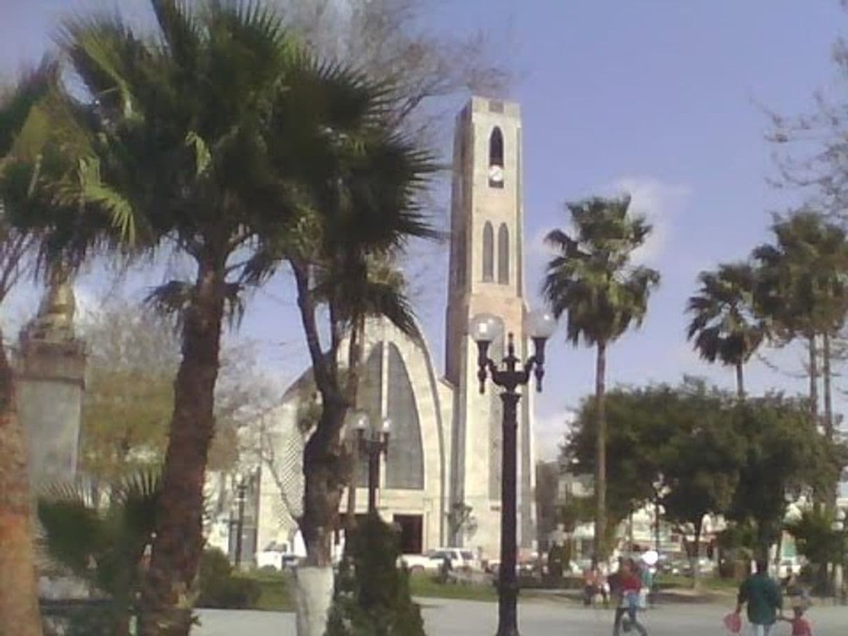 Restaurants Plaza Allende