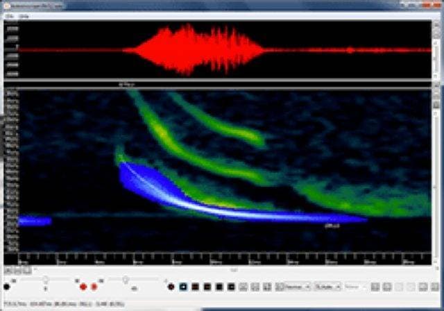 Fashion Kaleidoscope Pro Analysis Software | Wildlife Acoustics