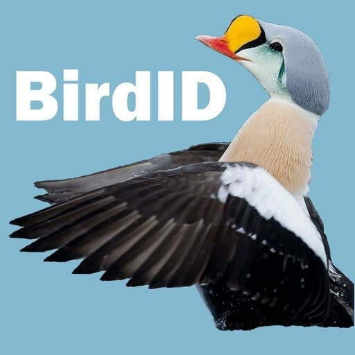 App BirdID Nord University