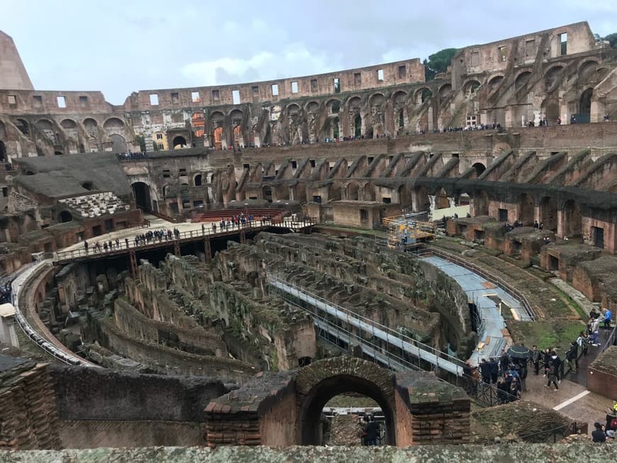 Lugar Coliseo de Roma