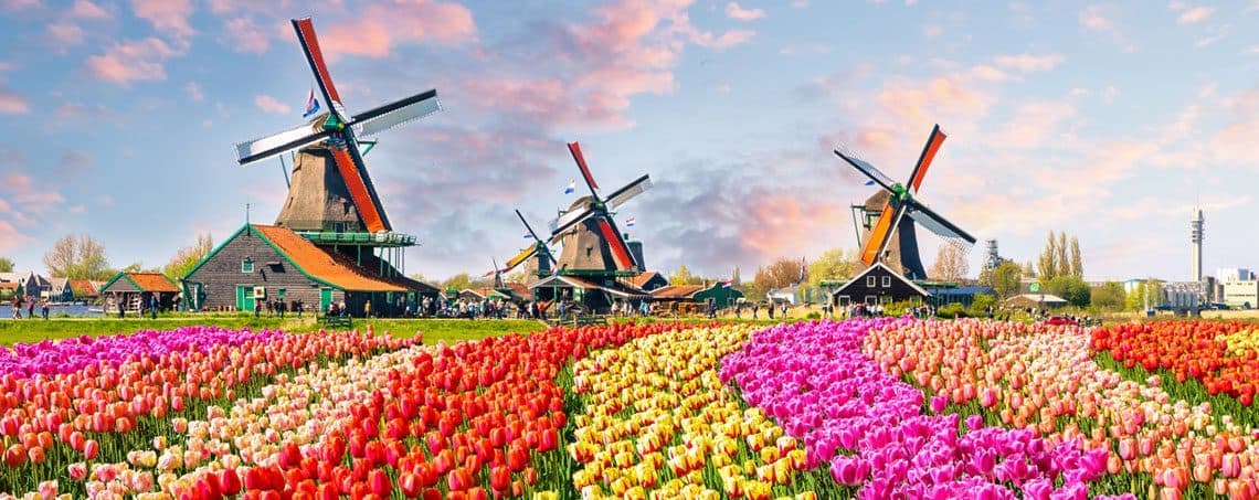 Lugar Tulip fields