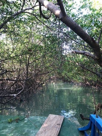 Lugar Ilha Das Ostras