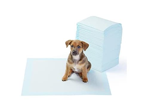 Product AmazonBasics - Toallitas de entrenamiento para mascotas