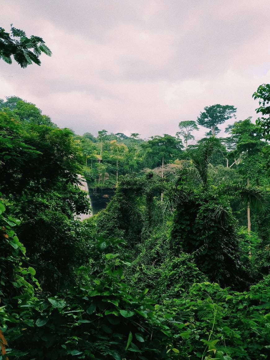 Place Boti Waterfalls