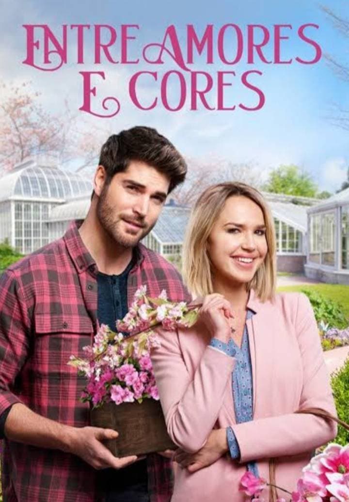 Película Um romance sempre cai bem ❤️📺