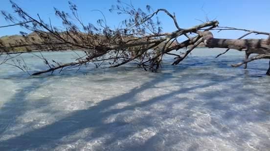 Place Ilha do Japonês