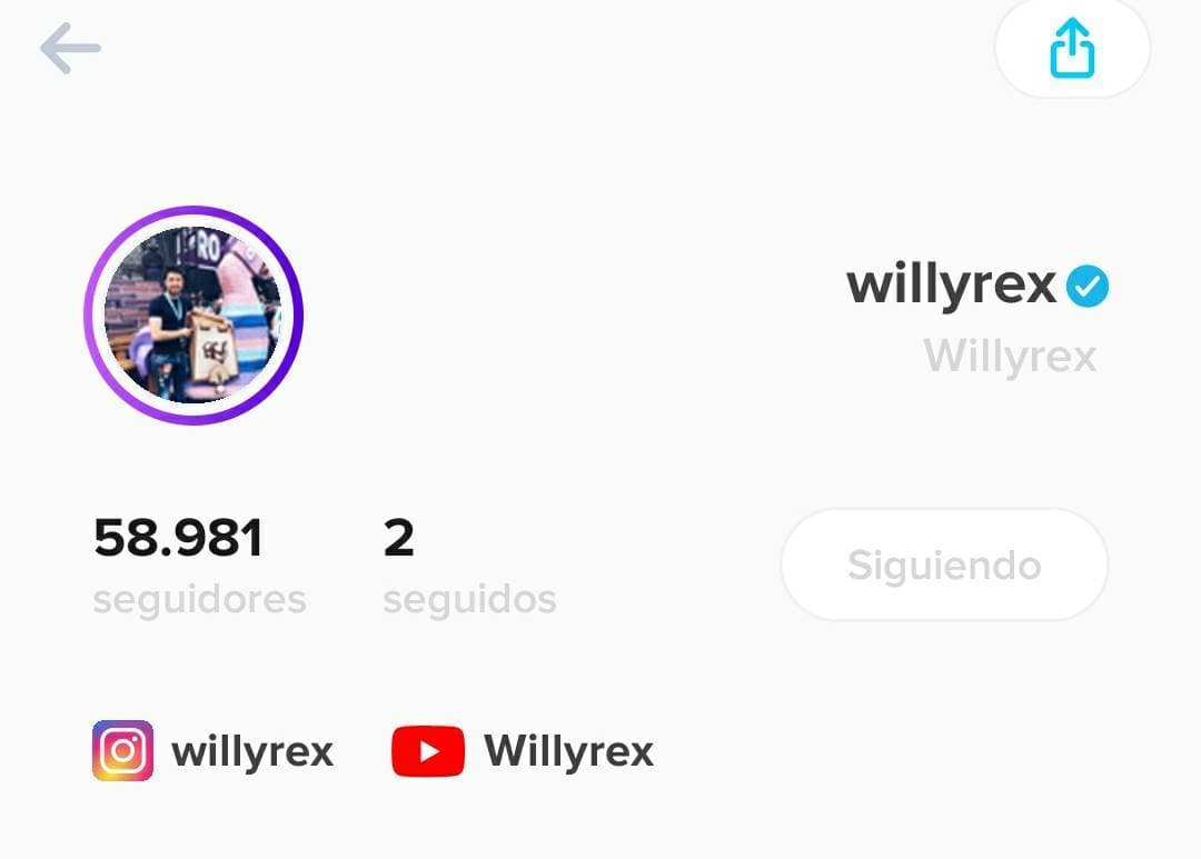 Fashion Willyrex