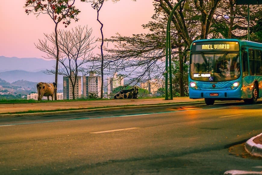 Place São José dos Campos