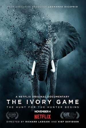 Movie The Ivory Game