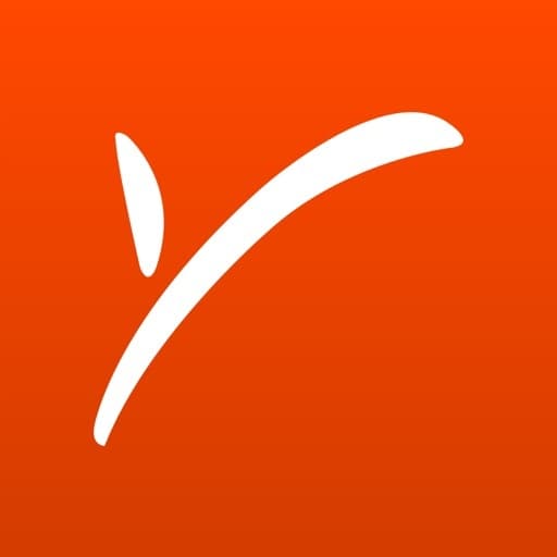 App Payoneer