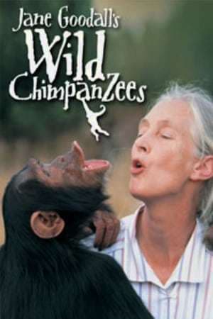 Película Jane Goodall's Wild Chimpanzees