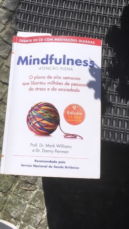 Book Mindfullness- Atenção Plena 