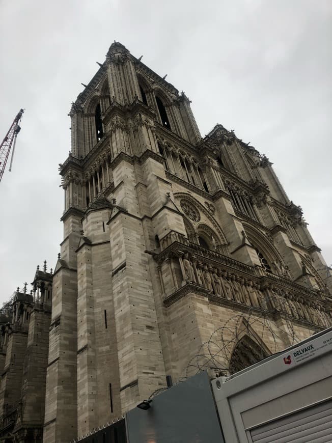 Place Catedral de Notre Dame