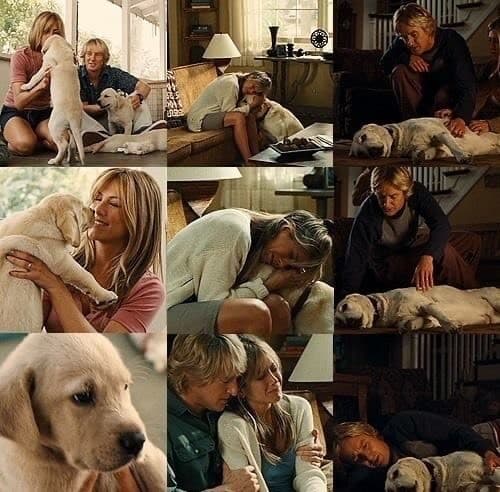 Película Marley & Me