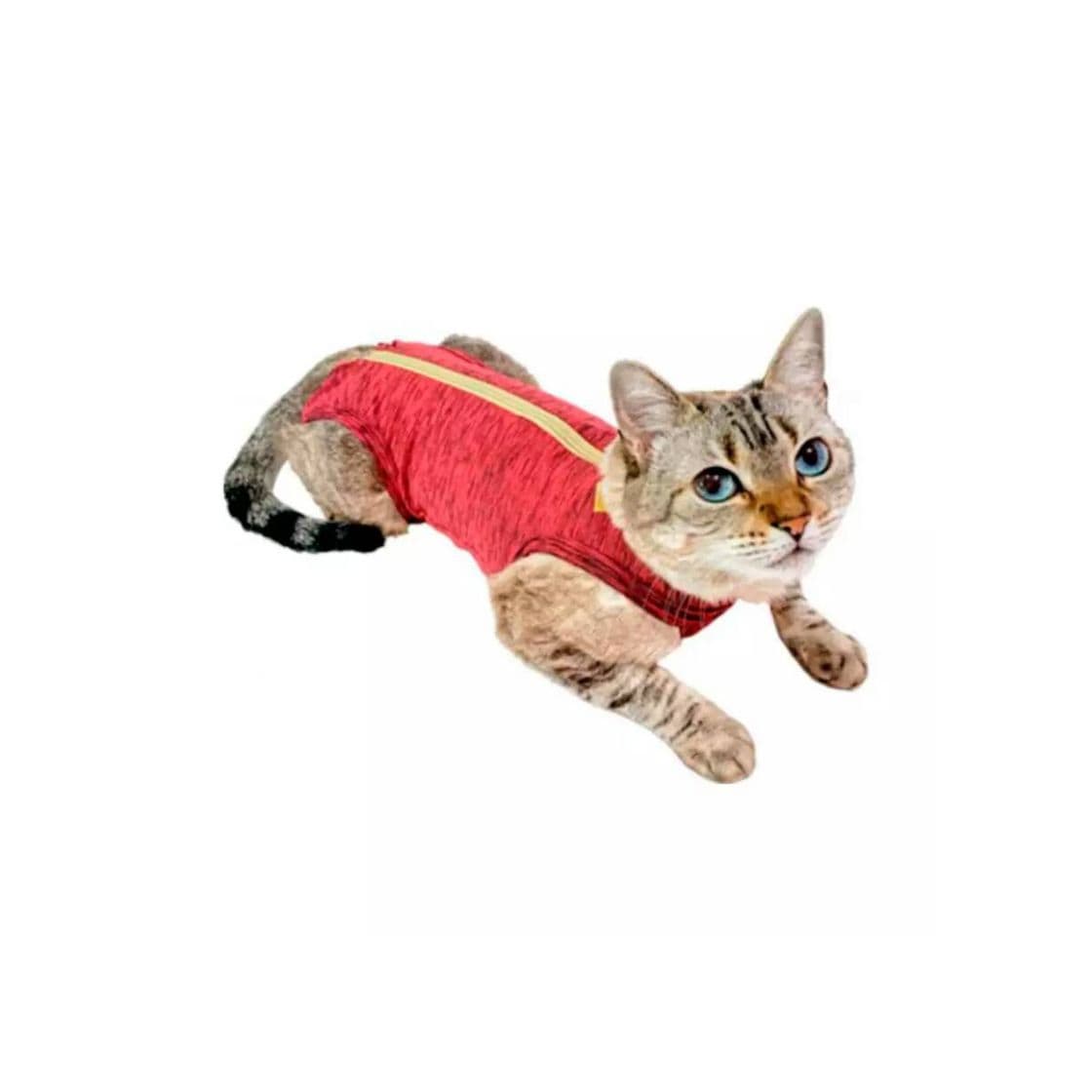 Producto Roupa Cirúrgica Pet Med Para Gatos Duo Dry Rosa