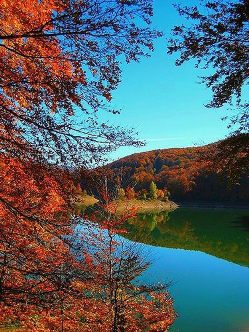 Place Pantano de Irabia