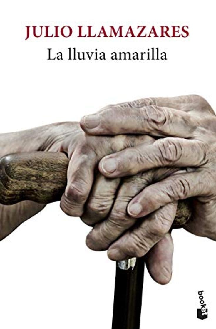 Libro La lluvia amarilla