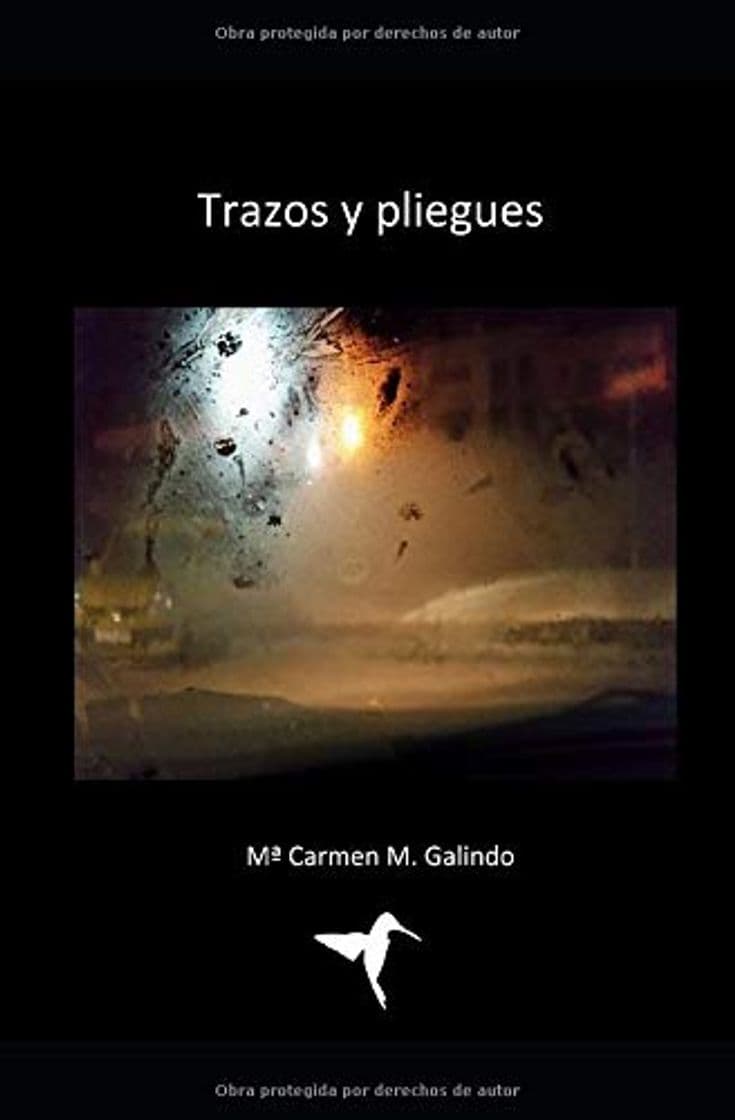 Libro Trazos y pliegues