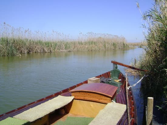 Lugar Albufera Valencia