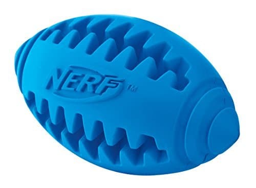 Lugar Nerf Dog Tether Football