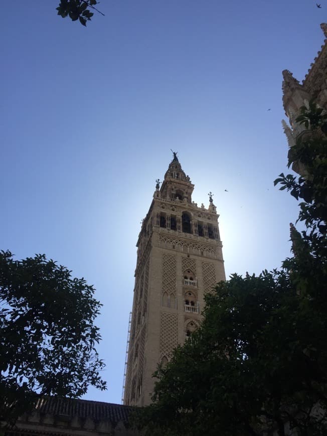 Place Catedral de Sevilla