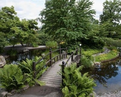 Lugar Bergianska trädgården