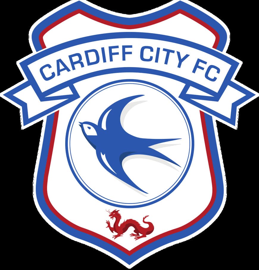 Fashion Cardiff City F.C. - Wikipedia