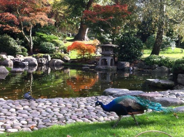 Lugar Kyoto Garden