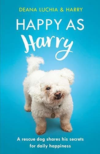 Book Happy as Harry: A rescue dog shares his secrets for daily happiness