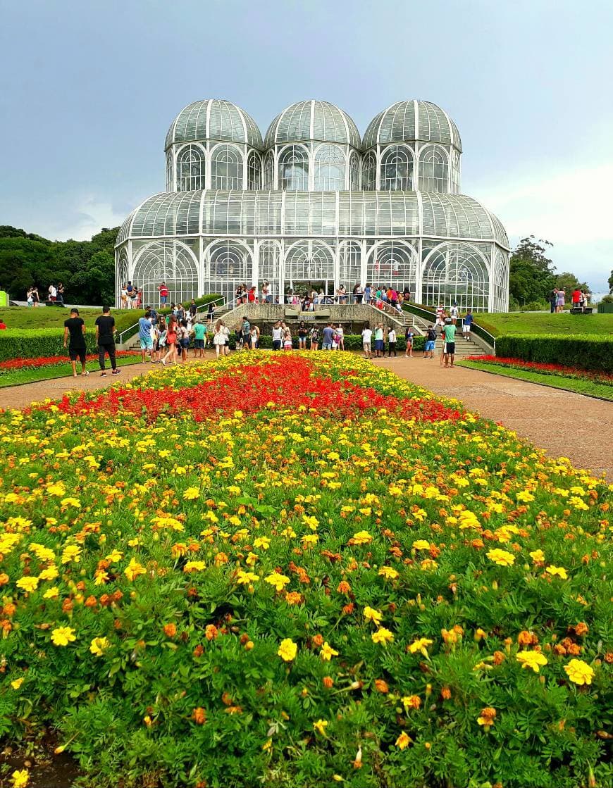 Lugar Jardim botânico 