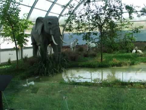 Lugar Parque Biológico de Gaia