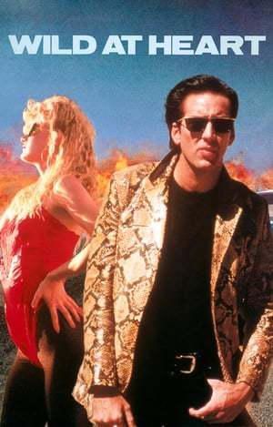 Película Wild at Heart