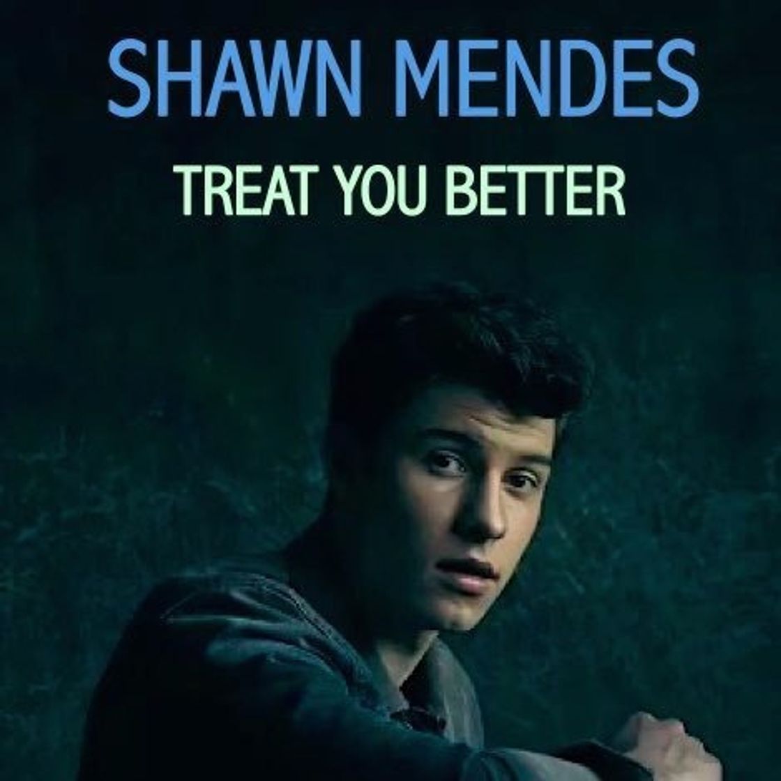 Fashion Treat You Better - Shawn Mendes