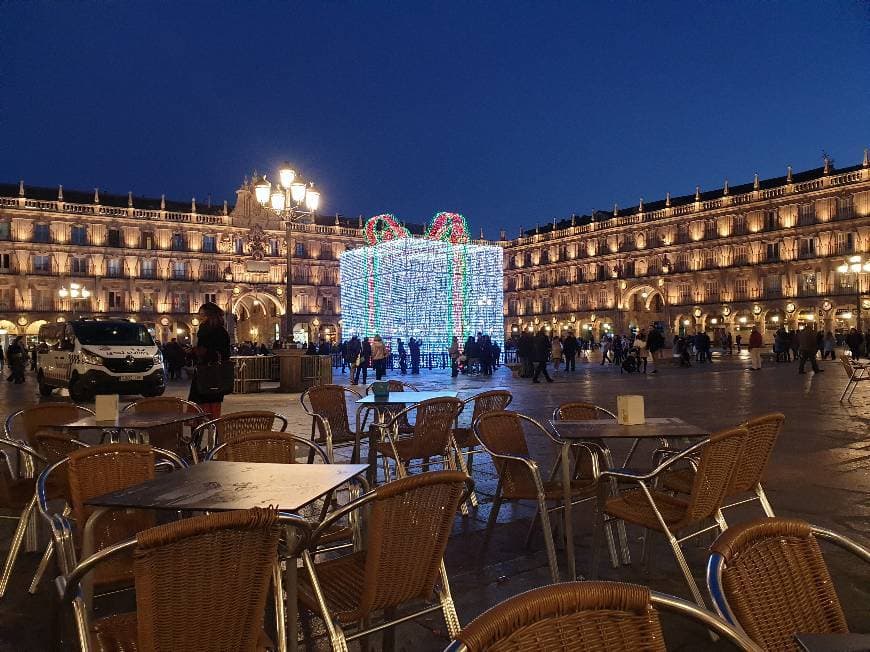 Place Plaza Mayor