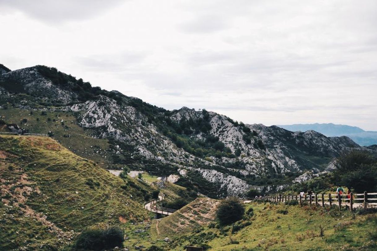 Place Lagos de Covadonga