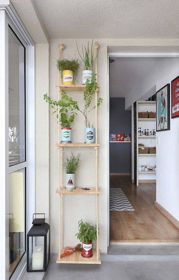 Moda Decoração com plantas. 