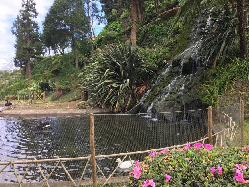 Lugar Jardim Botânico da Ribeira do Guilherme