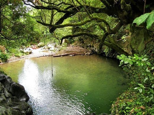 Moda Açores | Trinta Reis 