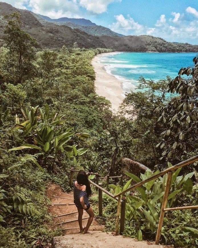 Place Praia Do Sono Paraty