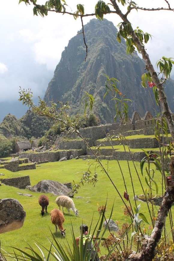 Moda Machu Picchu